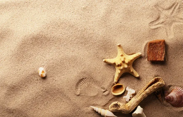 Картинка песок, следы, ракушки, морская звезда, деревяшки