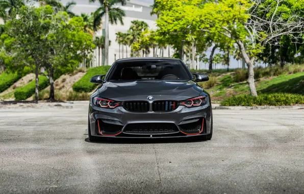 BMW, Front, Face, Sight, F83, Evel