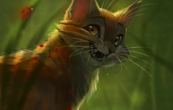 Кошка, природа, рябина, by Vao-Ra