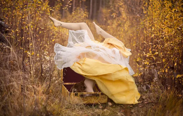 Картинка осень, лес, девушка, платье, чемодан, ноги вверх