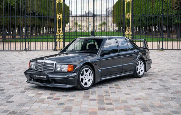 W201, 190E, EVOLution, 190E 2.5 16 Evolution II, Mercedec - Benz