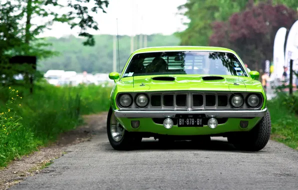 Green, 1971, салатовый, мускул кар, вид спереди, muscle car, Barracuda, Plymouth