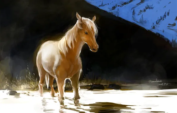 Картинка вода, свет, конь, лошадь, холм, арт, рыжий, ocean