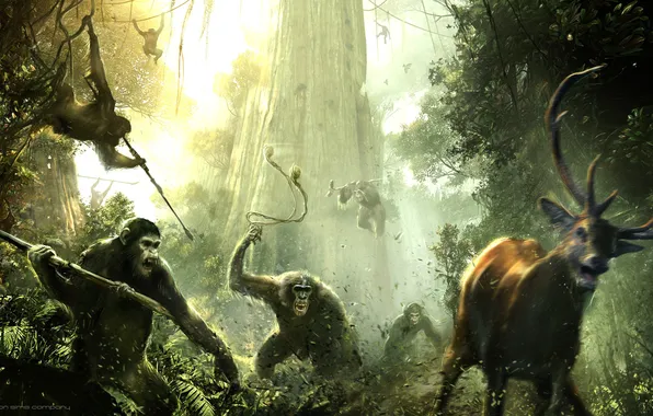 Картинка обезьяна, Цезарь, Caesar, Планета обезьян: Революция, Dawn of the Planet of the Apes