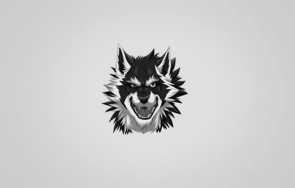 Волк, злой, серый фон, wolf
