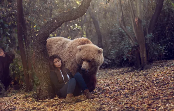 Картинка лес, девушка, медведь