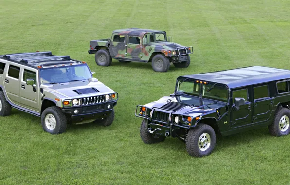 Hummer, Hummer H1, Hummer Wallpaper, Hummer H1 Wallpaper, Hummer Cars