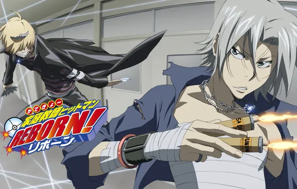 Парни, Белл, Katekyo Hitman Reborn!, Гокудера Хаято