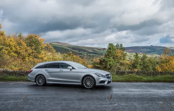 CLS, Mercedes, Benz, 350