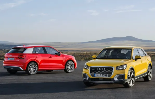 Внедорожник, AUDI