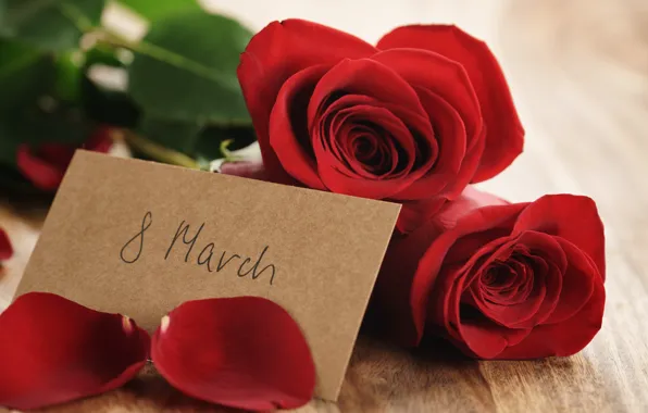 Картинка букет, лепестки, red, 8 марта, romantic, gift, roses, красные розы