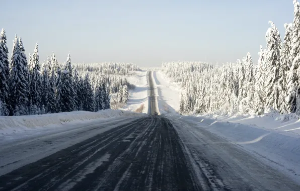 Nature, Wood, Winter, Snow, Street, Ice, Cold, Aleksei Zaitcev