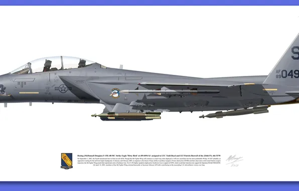 Картинка f 15, gray, Aircraft illustration