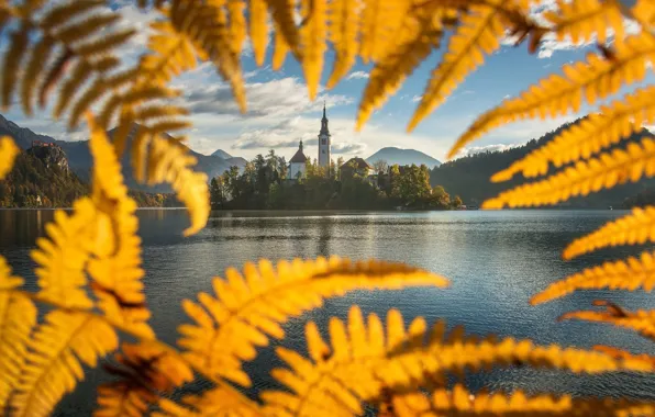Осень, облака, свет, горы, озеро, холмы, берег, вид