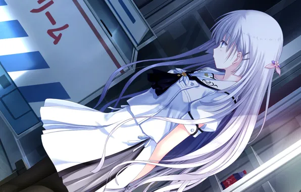 Девушка, игра, длинные волосы, белые волосы, Summer Pockets