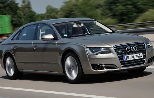Авто, ауди, audi, металик, quattro
