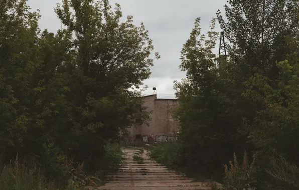 Лето, небо, деревья, тучи, дом, здание, Россия, тропинка