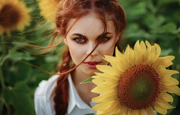 Цветок, лето, глаза, взгляд, листья, девушка, подсолнухи, цветы