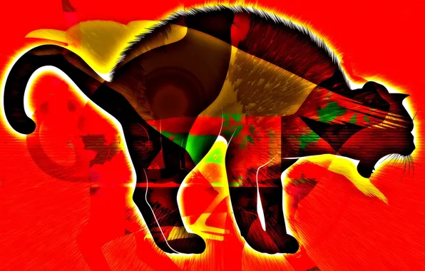 Кошка, цвета, фон, силуэт