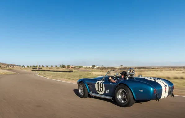 Shelby, спорткар, вид сзади, Cobra, Shelby Cobra 289