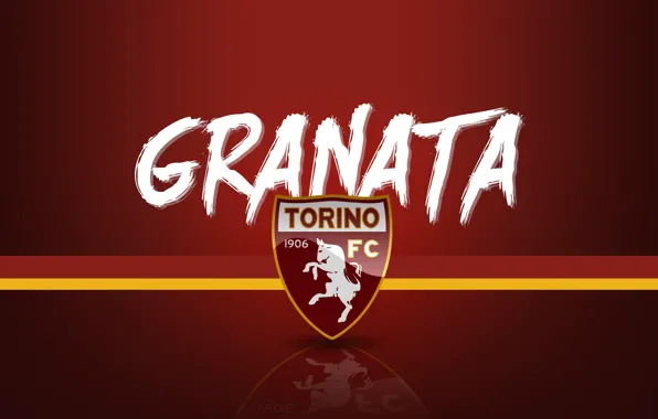 Wallpaper, sport, logo, football, Torino, Serie A, Granata