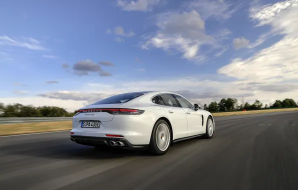 Porsche, Panamera, на трассе, 2021, Panamera 4S E-Hybrid