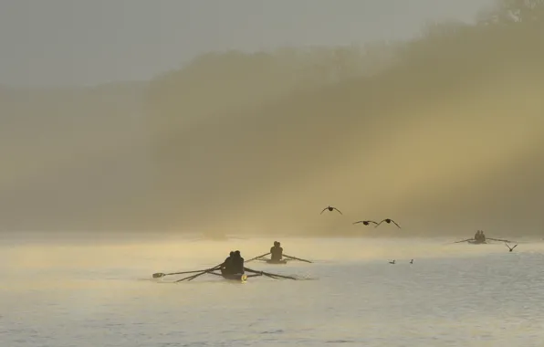 Картинка туман, река, лодки, утро