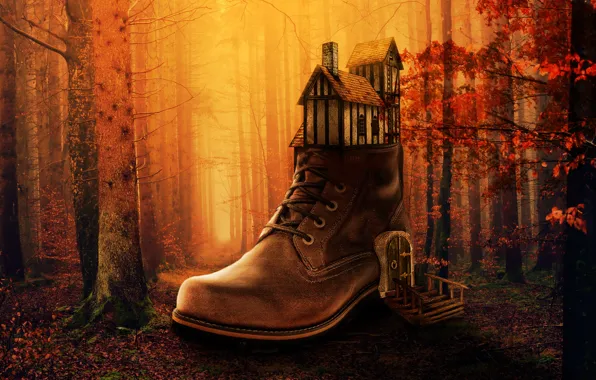 Осень, лес, домик, ботинок