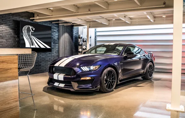 Картинка Mustang, Ford, Shelby, GT350, 2019