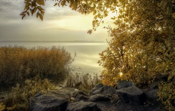 Осень, пейзаж, природа, озеро