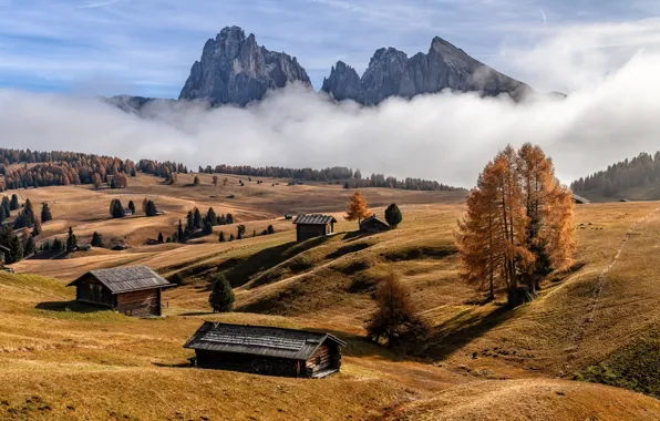 Природа, Dolomite Alps, Foggy autumn