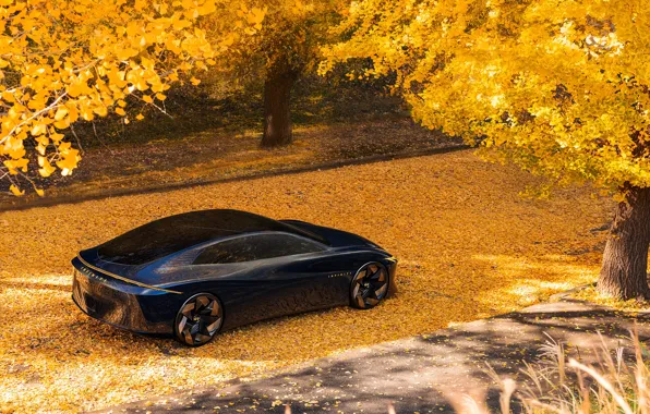 Картинка car, Infiniti, autumn, 2023, Infiniti Vision Qe