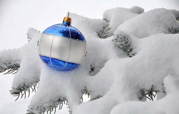 Картинка зима, белый, снег, ветки, синий, природа, игрушка, шар
