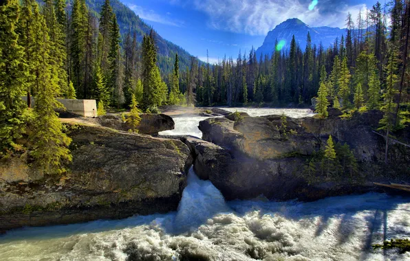 Картинка лес, пейзаж, горы, природа, река, скалы, водопад