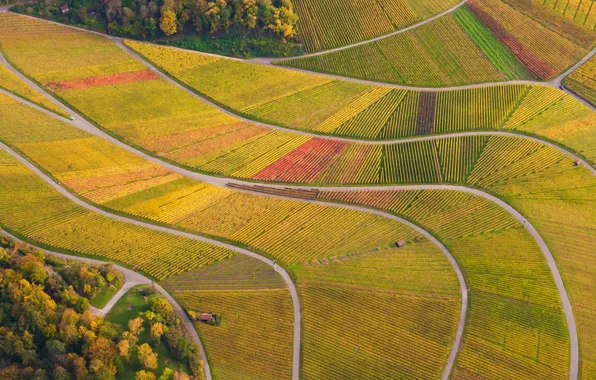 Поля, дороги, Германия, Germany, виноградники, Баден-Вюртемберг, Baden-Württemberg, Vineyards