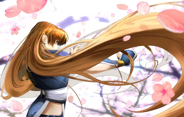 Сакура, рыжая, цветение, длинные волосы, Kasumi, Dead or Alive, DoA Girls