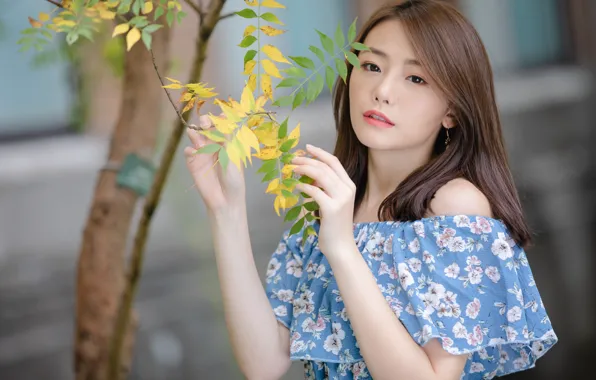 Girl, woman, asian, cute
