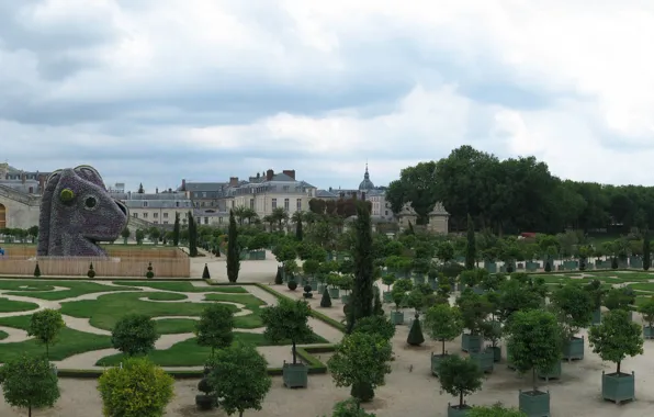 Francia, castillo, árboles, Versalles, Invernadero, palacio
