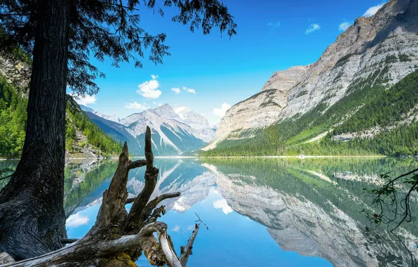 Горы, Озеро, Канада, Canada, British Columbia, Британская Колумбия, Kinney Lake, Красота природы