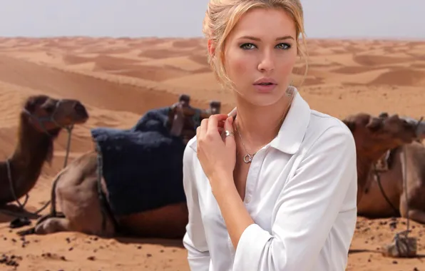 Взгляд, девушка, пустыня, портрет, верблюды