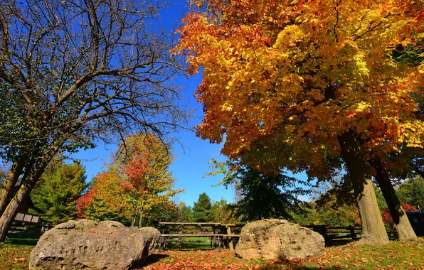Картинка осень, небо, парк, камни, дерево, забор