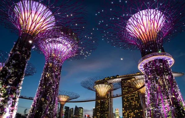 Ночь, дизайн, огни, Сингапур, строения, сады, Gardens by the Bay