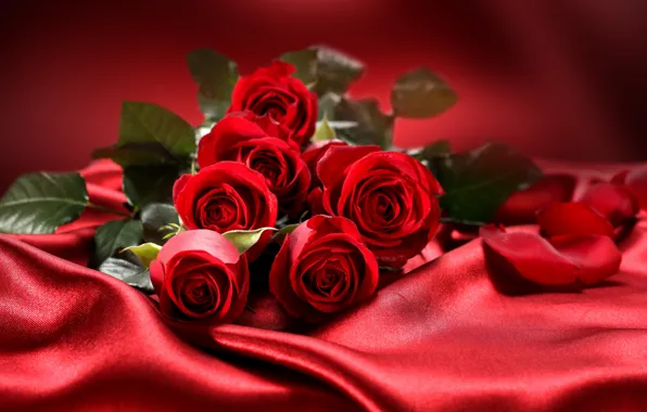 Картинка любовь, цветы, розы, valentine's day
