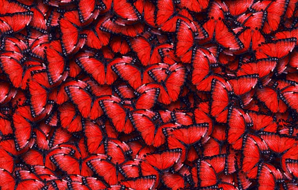 Картинка текстура, texture, red butterfly, красные бабочки