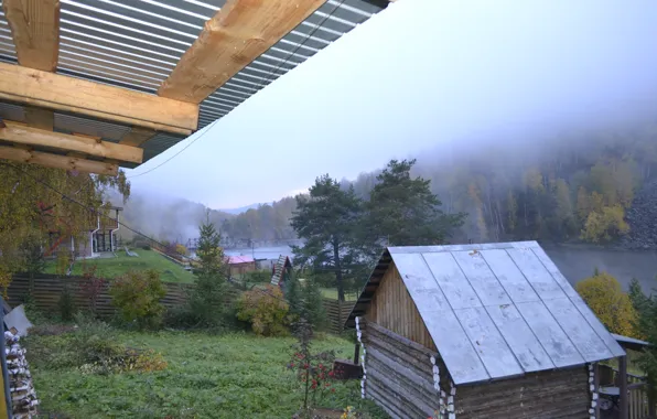 Природа, Туман, Осень, Деревья, Домик, House, Nature, Autumn