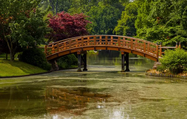 Зелень, солнце, деревья, мост, пруд, парк, США, Missouri Botanical Garden