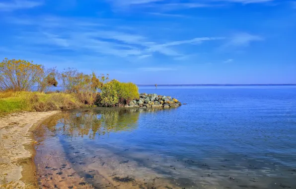 Море, небо, камни, берег, кусты, деревце