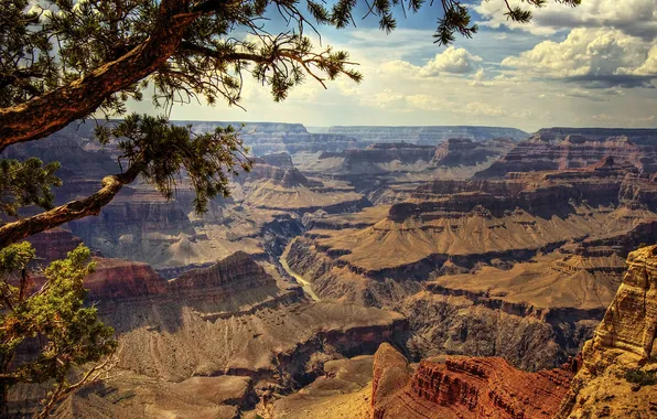 Картинка природа, река, скалы, каньон, the Grand Canyon, останцы