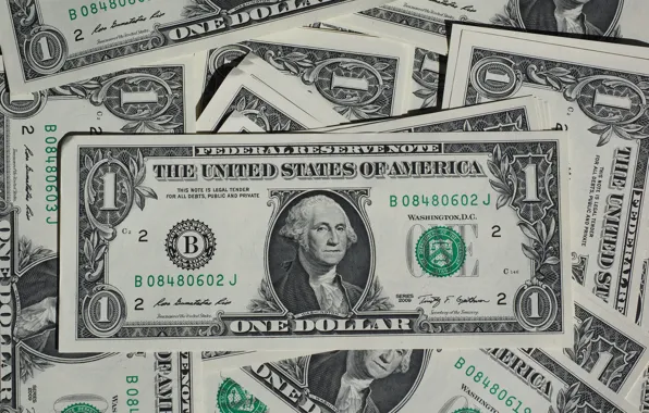 USA, США, Купюры, Деньги, Доллар, George Washington, Валюта, Доллары