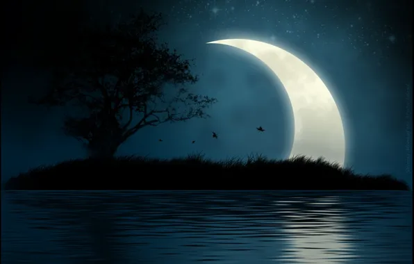 Картинка вода, ночь, остров, Луна